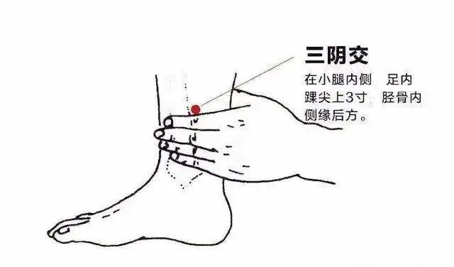 大暑 | 濕氣嚴(yán)重，你還在補(bǔ)陽(yáng)氣？轉(zhuǎn)用3種滋陰法，全年少生病
