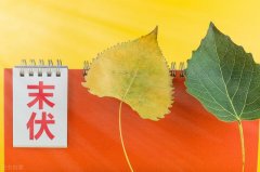 【末伏養(yǎng)生】潤肺養(yǎng)顏，止咳清肺